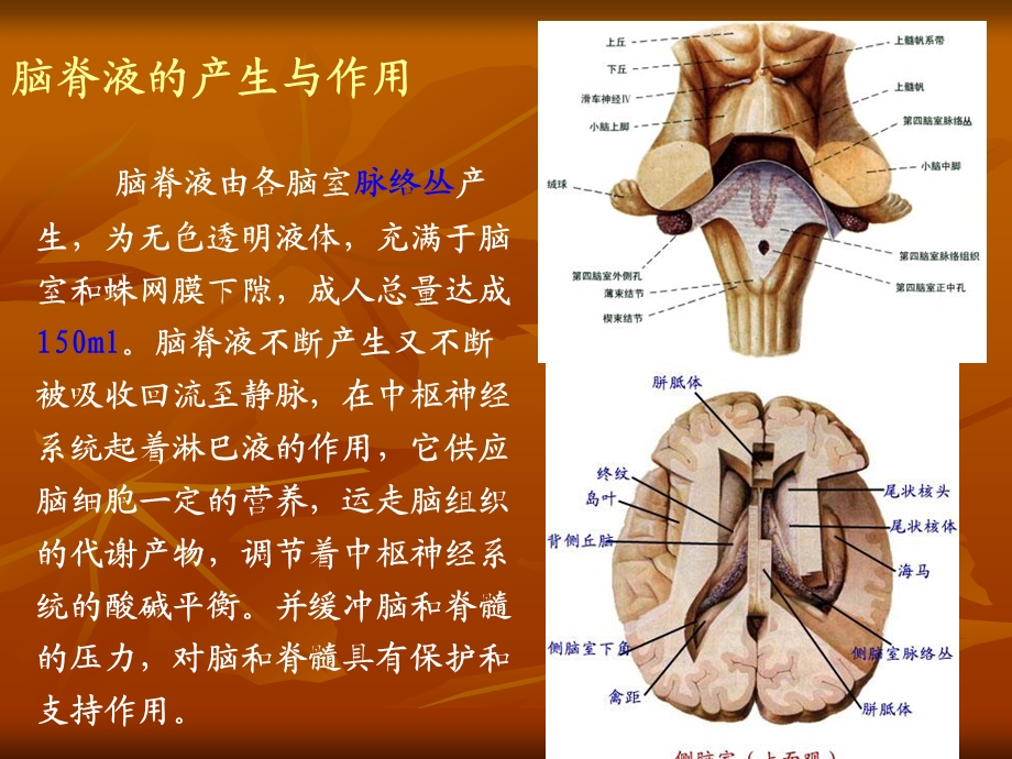 脑积水治疗和护理.ppt_第3页