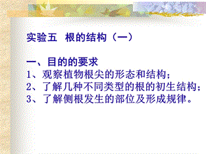 实验五根的结构一.ppt