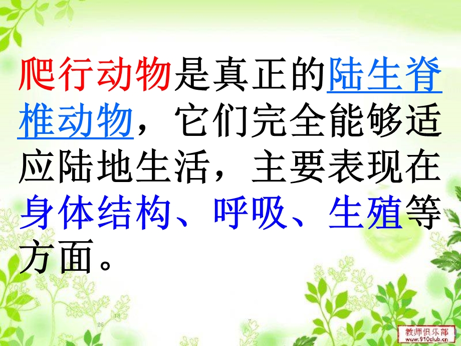 爬行动物课件.ppt_第2页