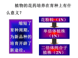 3.2月季的花药培养课件辛越权.ppt