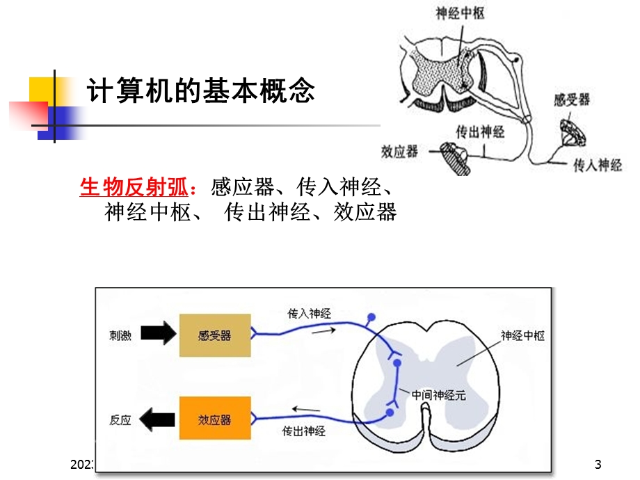 微机系统与接口教学资料第5章存储器.ppt_第3页