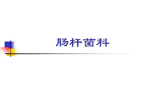 肠杆菌科鉴定全.ppt