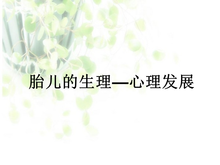 胎儿的生理心理发展.ppt_第1页