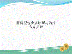 肝两型包虫病诊断与治疗专家共识版ppt课件.ppt