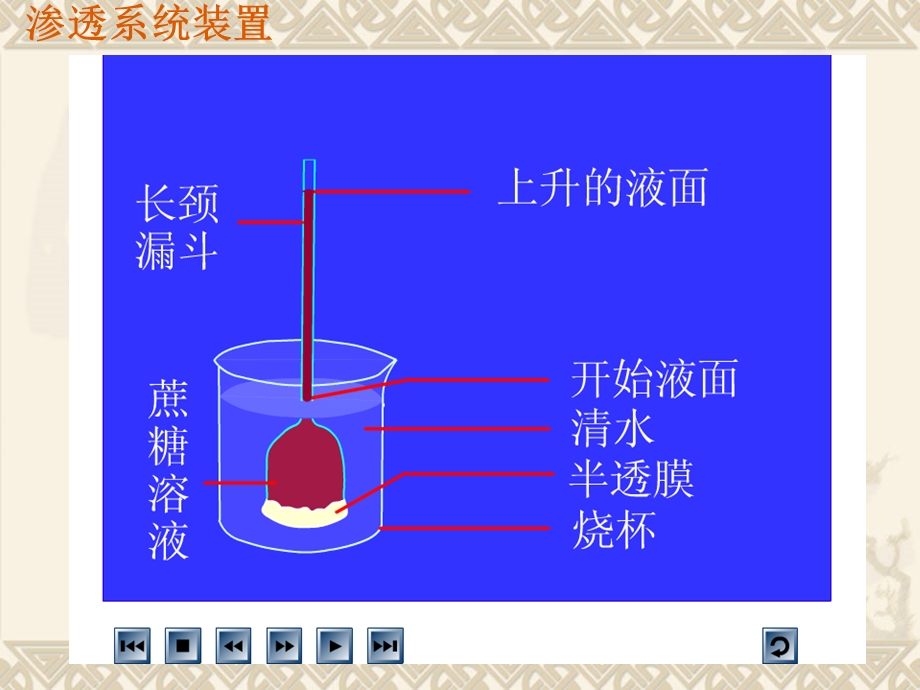 物质跨膜运输的实例PPT.ppt_第2页