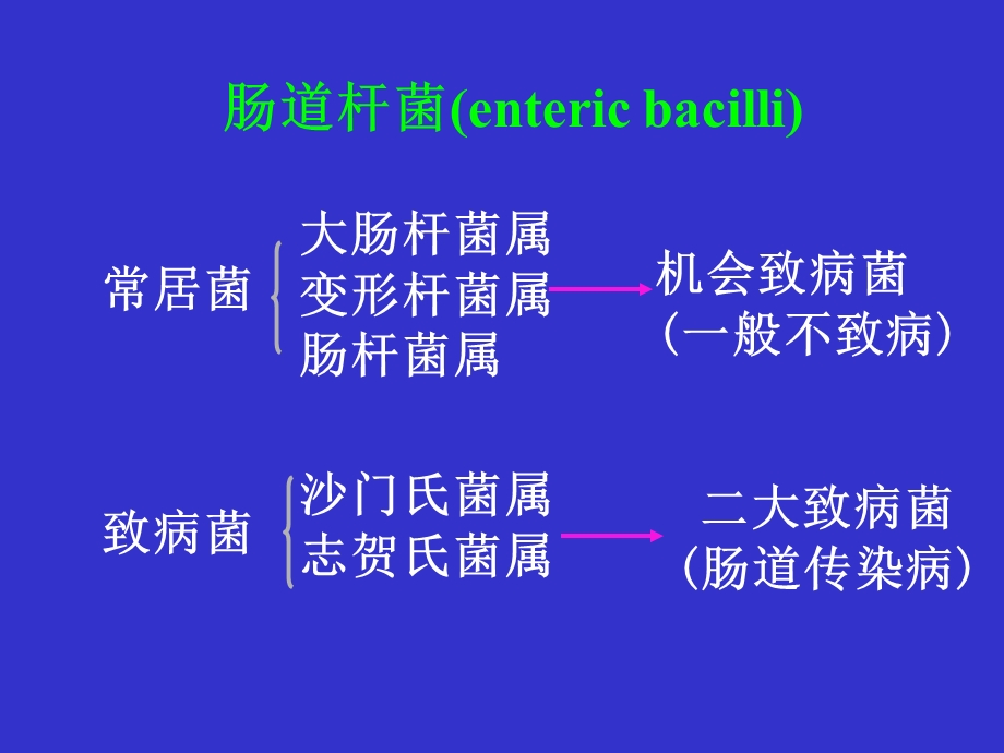 肠道杆菌课件.ppt_第3页