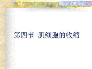 肌肉收缩机理.ppt