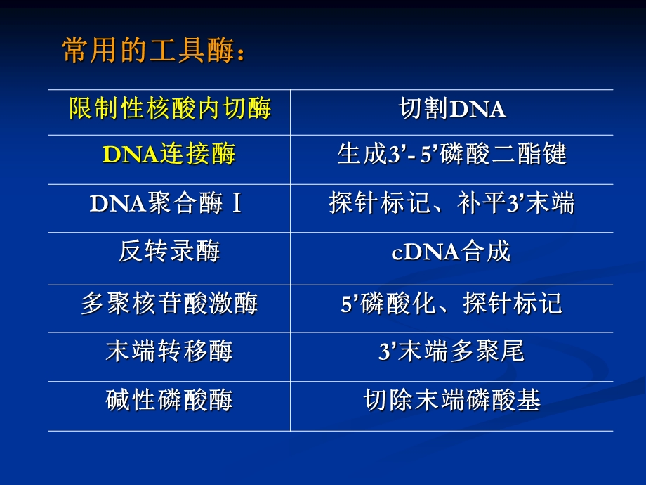 第三章基因克隆的酶学基础.ppt_第2页