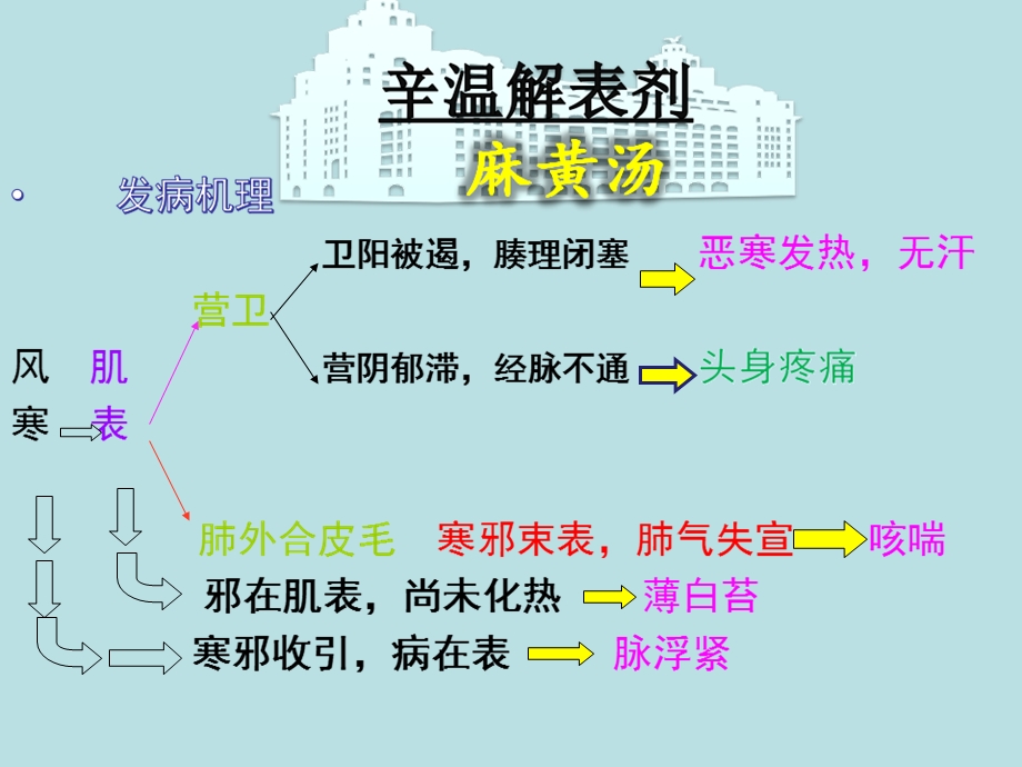 方剂学解表剂ppt课件.ppt_第2页