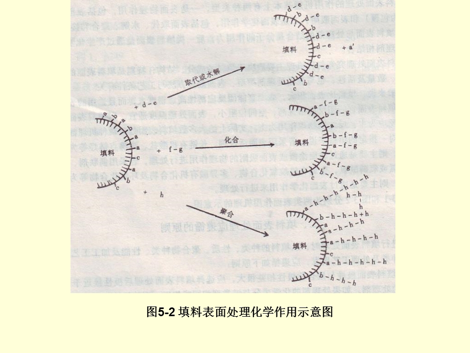 聚合物改性第五章.ppt_第3页