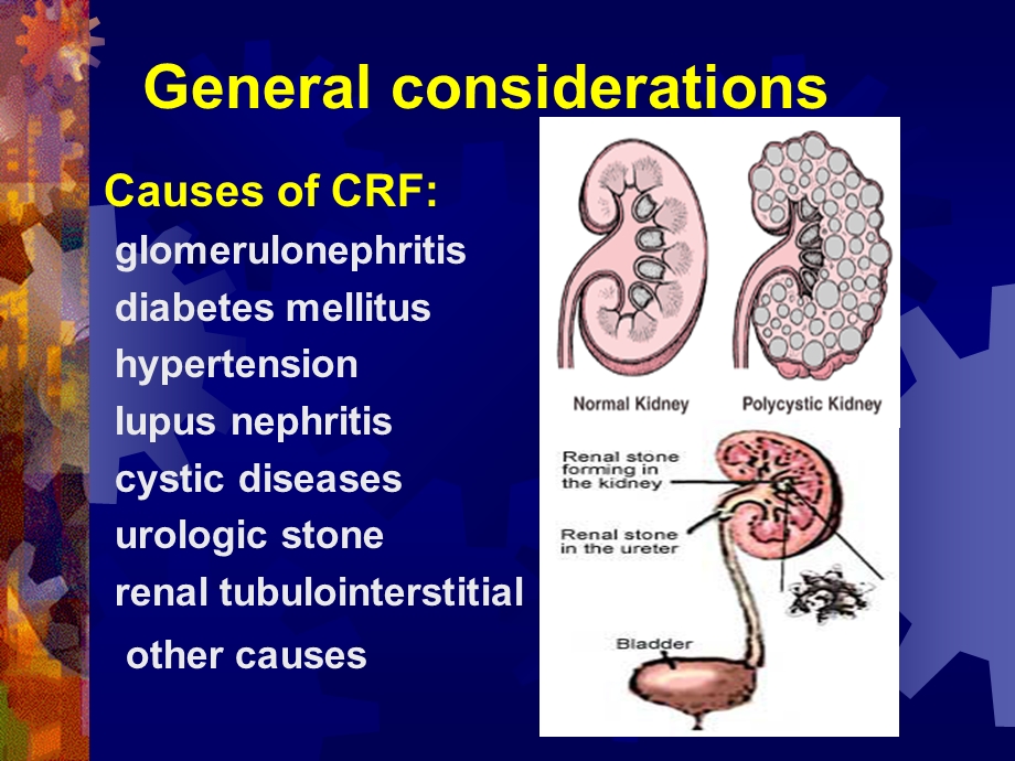 肾内科课件crf.ppt_第3页