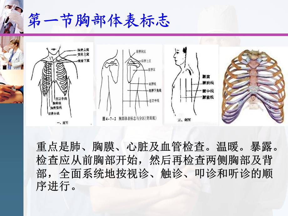 胸廓肺部视触诊.ppt_第2页