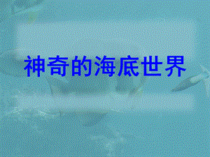 神奇的海底世界ppt课件.ppt