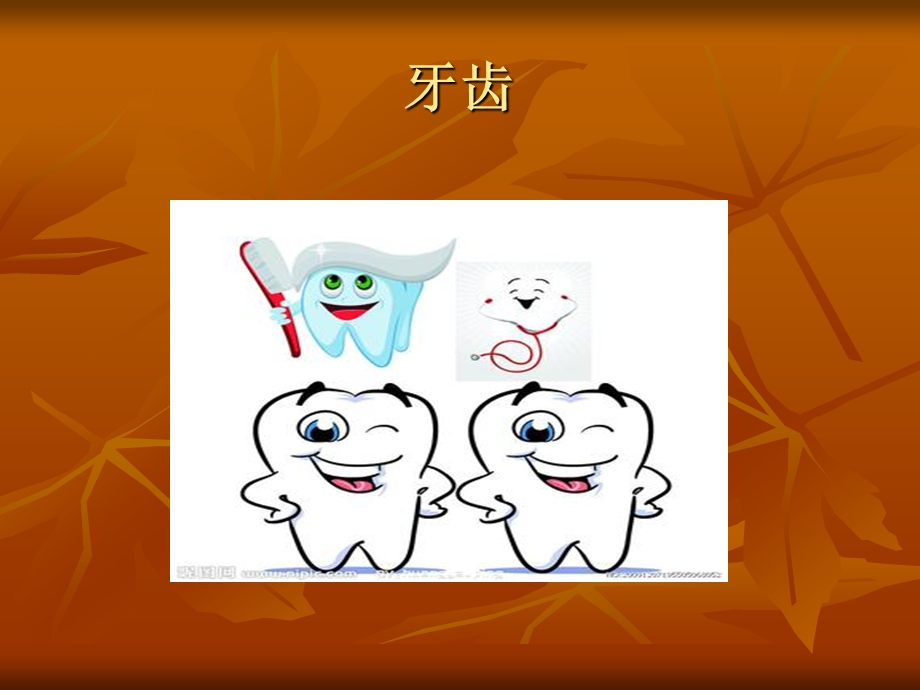 幼儿园大班科学活动认识牙齿.ppt_第2页