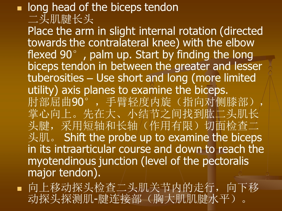 肌骨超声诊断指南肩部.ppt_第3页