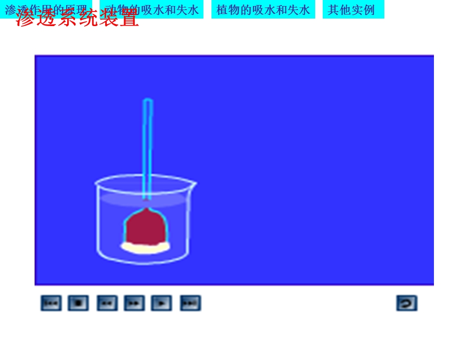 物质跨膜运输的实例优质课凤.ppt_第2页