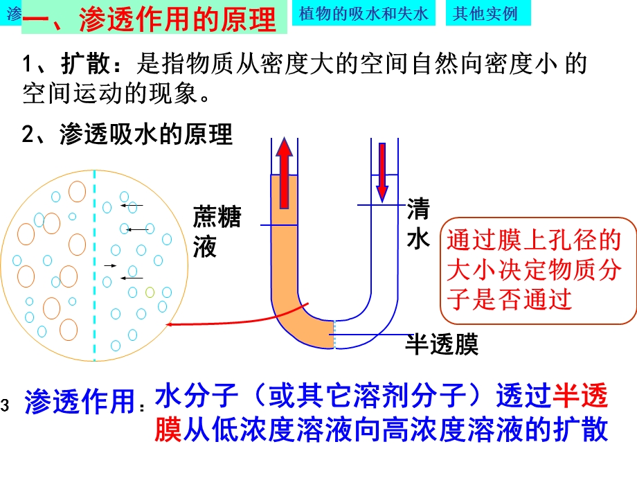 物质跨膜运输的实例优质课凤.ppt_第3页