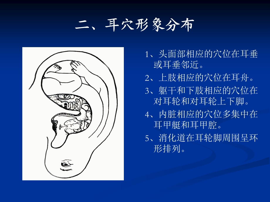 耳穴压豆课件.ppt_第3页