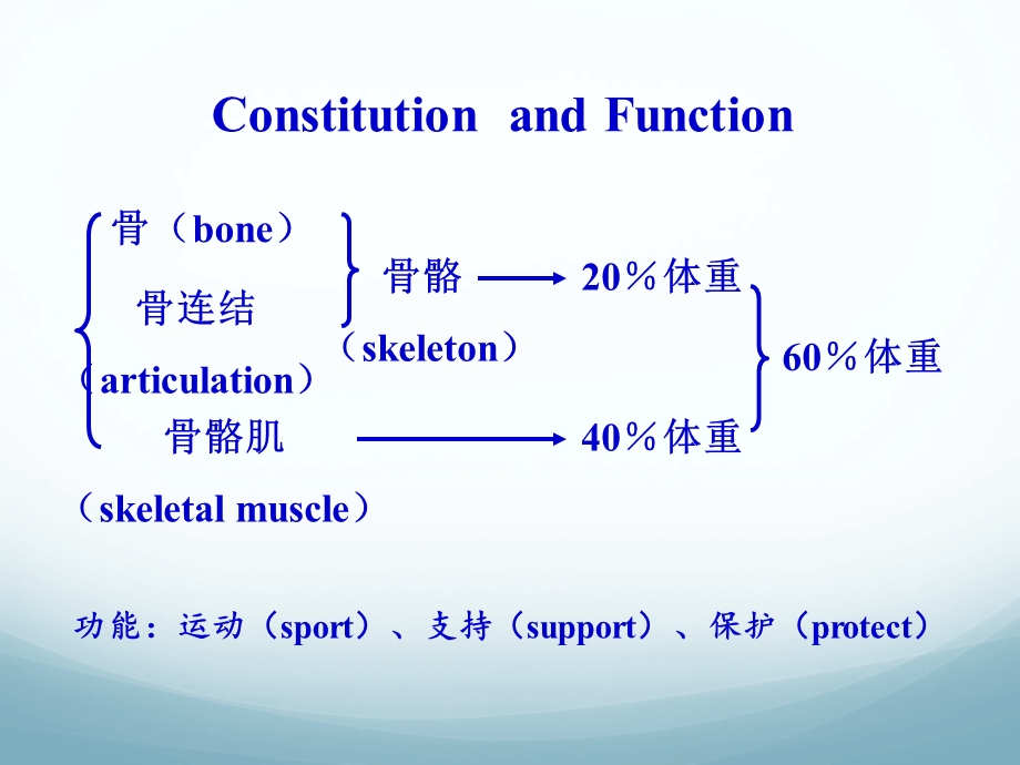 02骨学和关节学概述.ppt_第2页