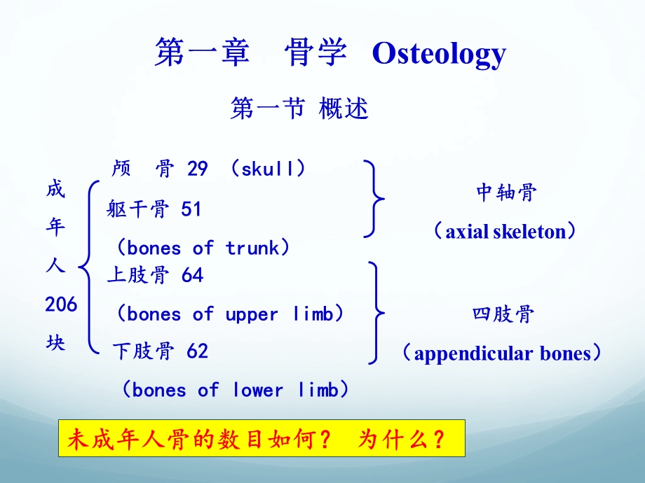 02骨学和关节学概述.ppt_第3页