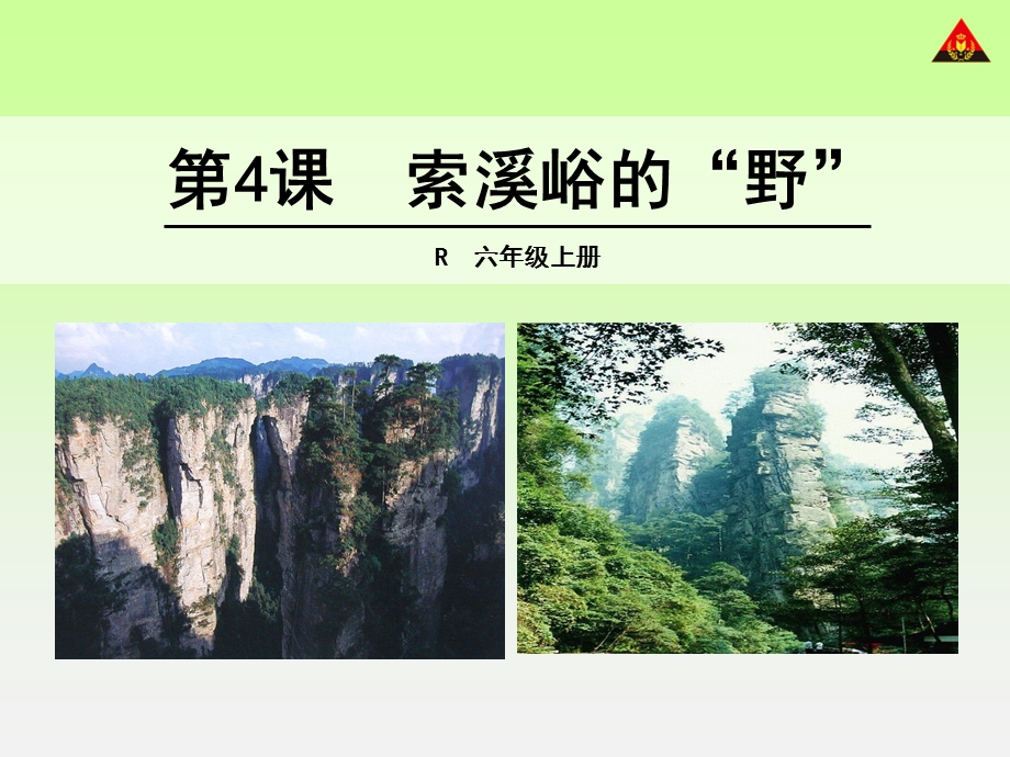 4索溪峪的野.ppt_第1页