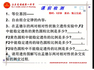 自由组合定律计算.ppt