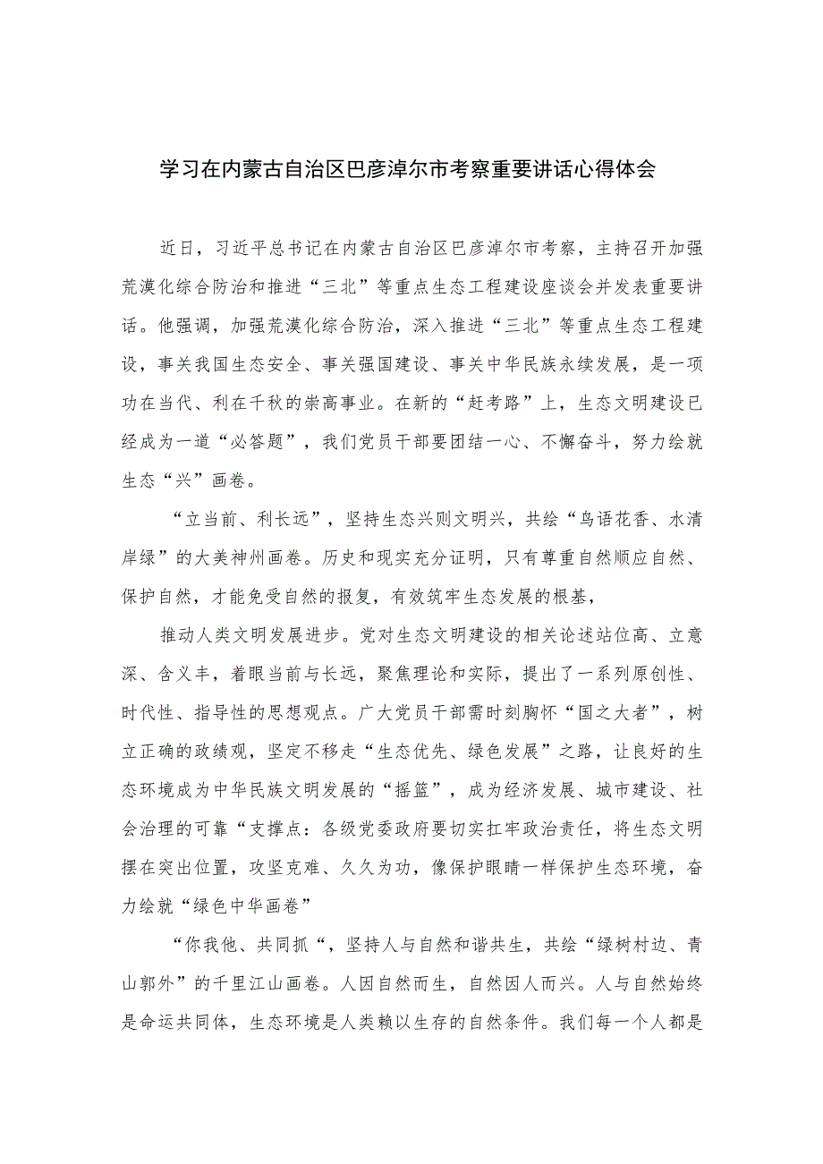 2023学习在内蒙古自治区巴彦淖尔市考察重要讲话心得体会13篇（精编版）.docx_第1页