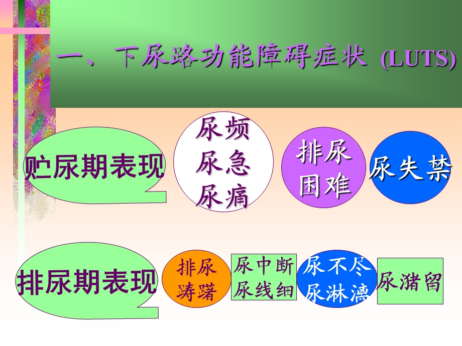 自主神经系统药物在下尿路功能障碍疾患的应用.ppt_第2页