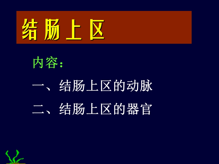 腹部结肠上下区.ppt_第1页