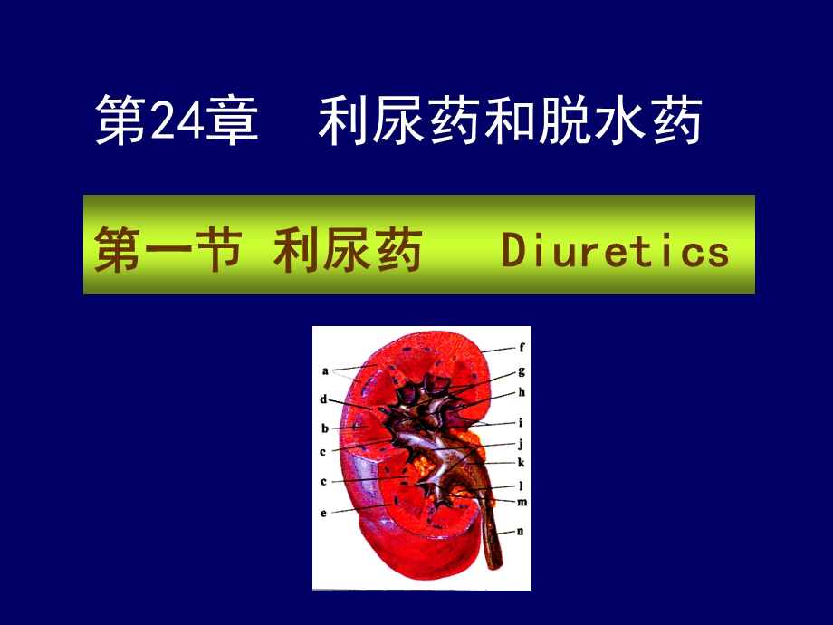 药理学第2版24利尿药.ppt_第1页