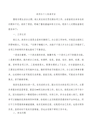 政府办个人检查发言.docx