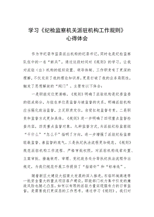 《纪检监察机关派驻机构工作规则》学习心得体会.docx