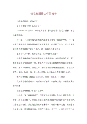 短毛狗用什么样的梳子.docx