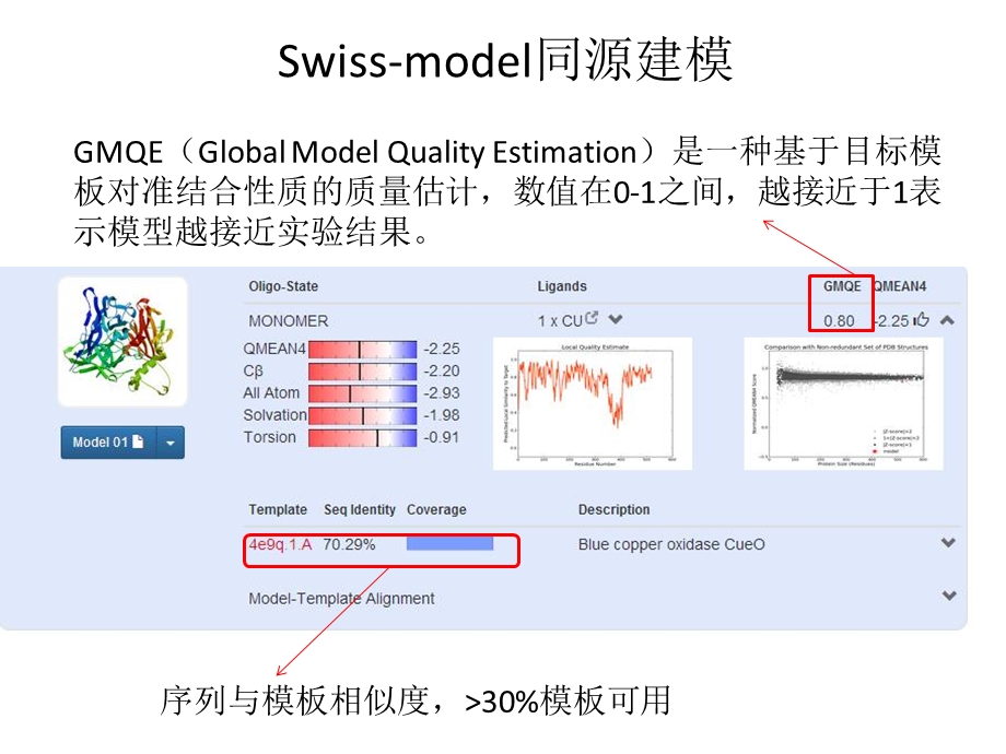 蛋白同源建模及分子对接.ppt_第3页