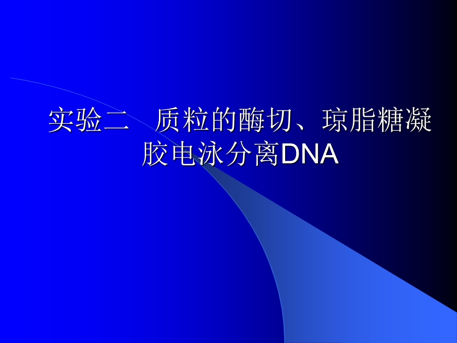 质粒的酶切琼脂糖凝胶电泳分离DNA.ppt_第1页