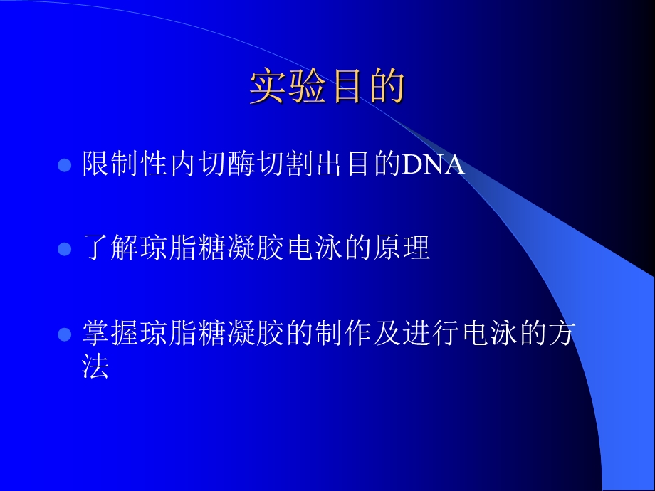 质粒的酶切琼脂糖凝胶电泳分离DNA.ppt_第3页