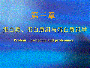 蛋白质与蛋白组学.ppt