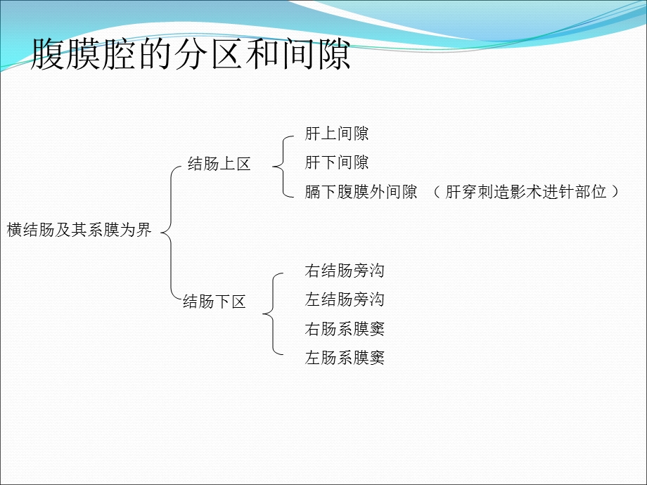 腹部结肠上区.ppt_第1页