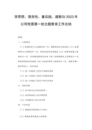 学思想、强党性、重实践、建新功2023年公司党委第一批主题教育工作总结.docx