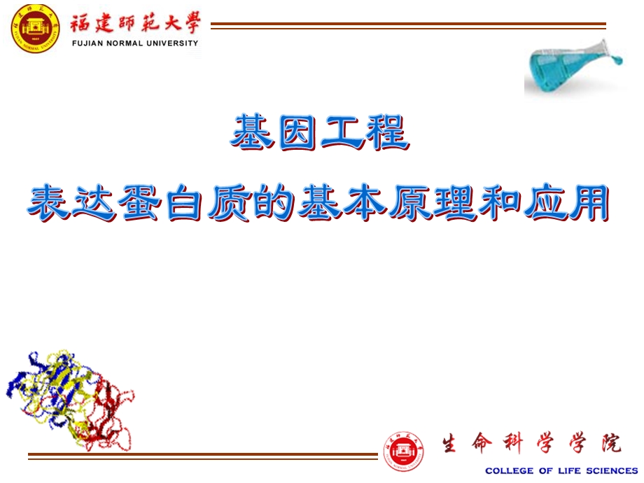 蛋白质表达1.ppt_第1页