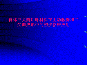 自体三尖瓣后叶材料在主动脉瓣和二尖瓣成形中的初步临床应用.ppt