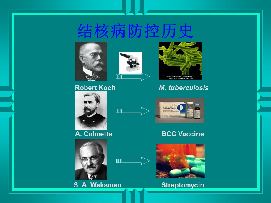 药理学精品教学汕头大学第四十四章抗结核病药.ppt_第2页