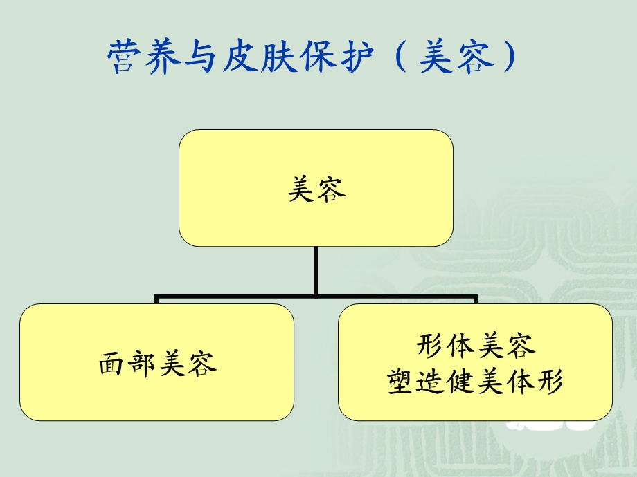 营养与皮肤的关系.ppt_第1页