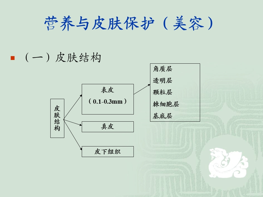 营养与皮肤的关系.ppt_第2页