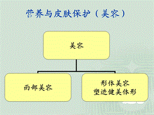 营养与皮肤的关系.ppt