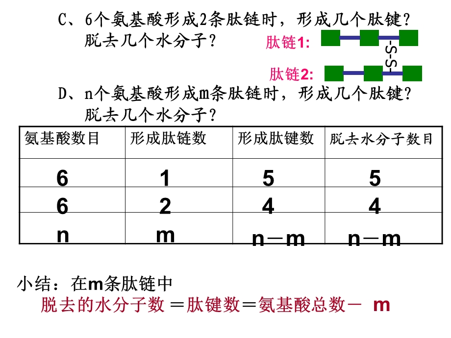 蛋白质计算题.ppt_第2页