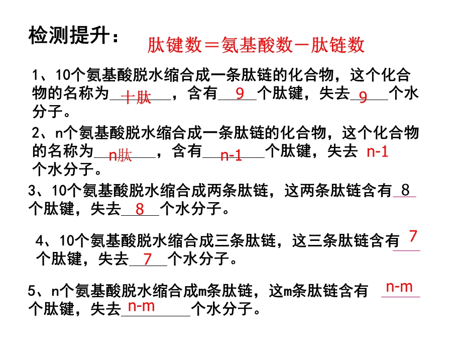 蛋白质计算题.ppt_第3页