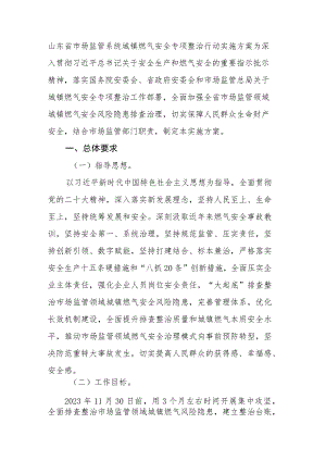 山东省市场监管系统城镇燃气安全专项整治行动实施方案.docx