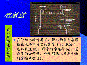 蛋白质纯化方法.ppt