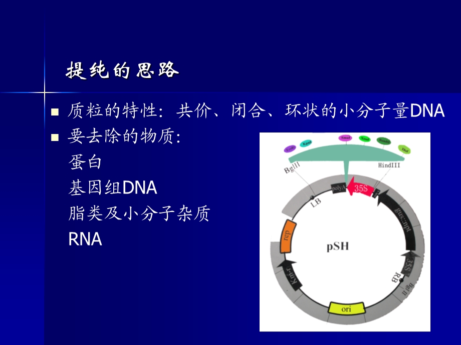 质粒提取宝典.ppt_第3页